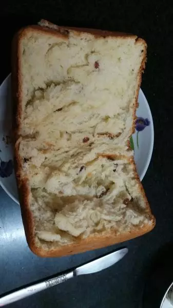 提子松软甜面包（东菱面包机）
