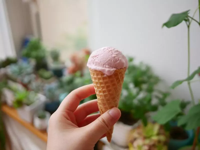 粉嫩玫瑰糖浆调野生小红莓酸奶冰激凌球配脆皮蛋卷加奶油小草莓