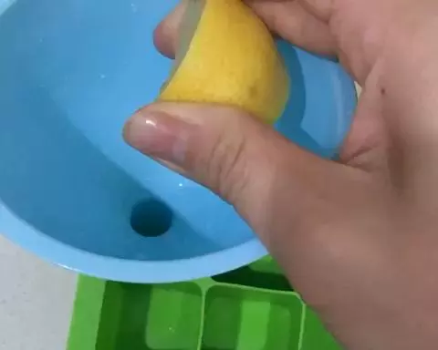 柠檬（长时间保存+清洁）