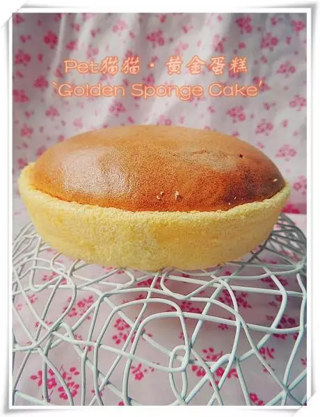 黄金蛋糕`Golden Sponge Cake&#39;