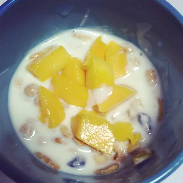 元氣早餐-酸奶麥片✌(๑˃̶͈̀◡˂̶͈́๑)✌