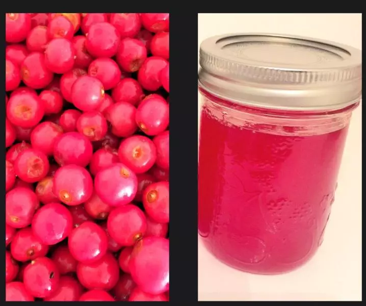 野蘋果果凍果醬 crabapple jelly