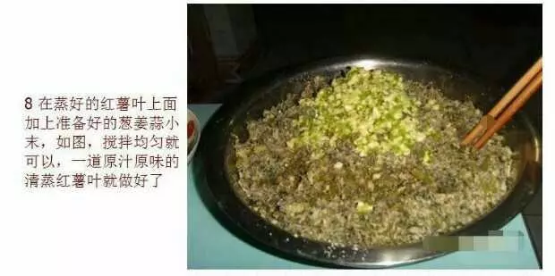 好吃的红薯叶