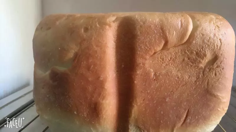 东菱面包机面包