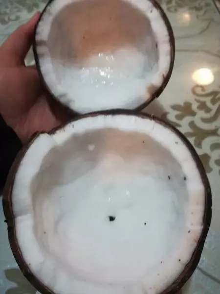 自製 椰蓉 椰汁 椰子油