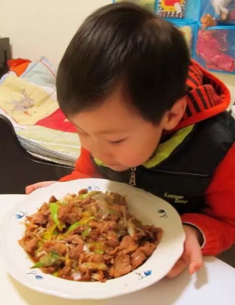 小手做羹汤——宝宝常见健脾养胃类食补处方——葱爆鸭肉