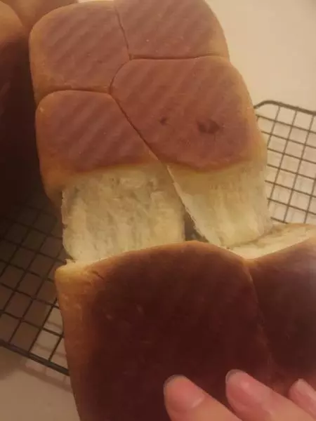 拉丝豆沙吐司面包