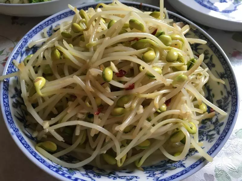 美味涼拌豆芽菜