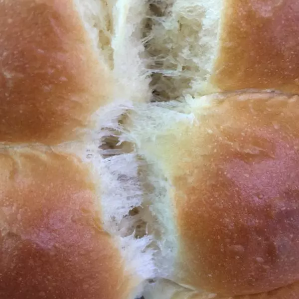 【技能贴】Joy的烘焙新手面包技巧——揉面、发酵和很多很多小窍门