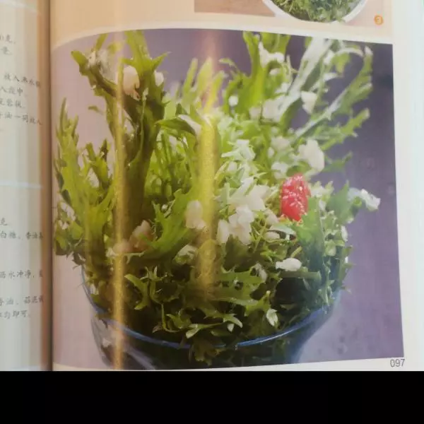 凉拌苦菊