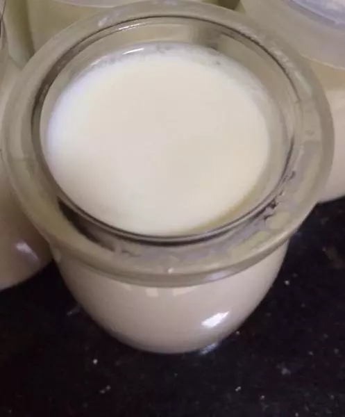 酸奶（面包机版）