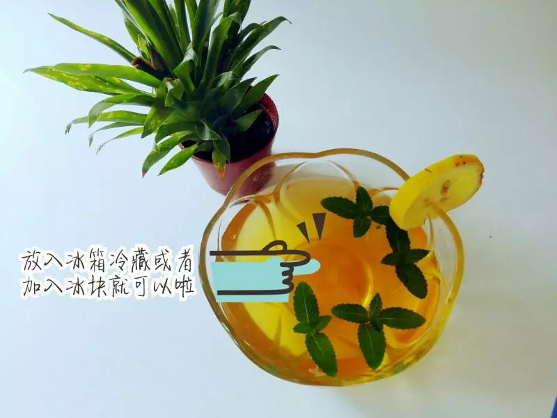 檸檬薄荷冷泡茶