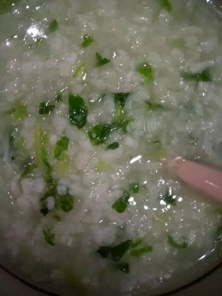 十个月+宝宝辅食银鱼青菜粥