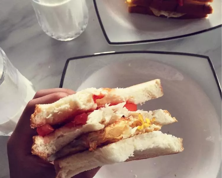 鸡蛋火腿番茄三明治早餐（快手简单减脂）
