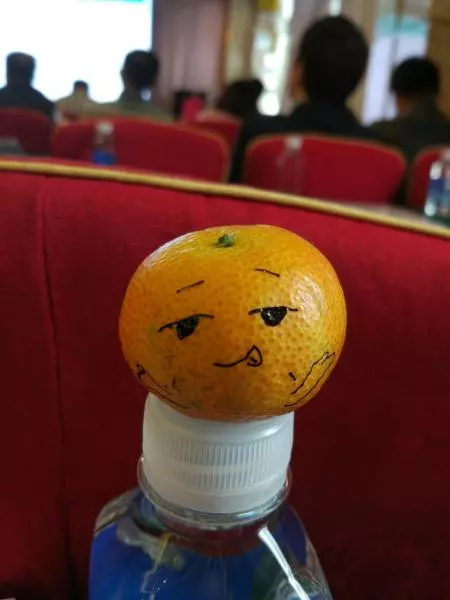 沁園春·橘子