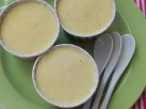 芒果榴槤冰淇淋(蛋奶版)