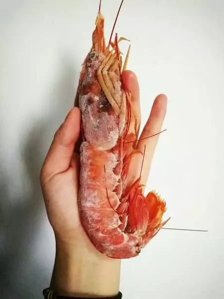 蒜泥阿根廷紅蝦