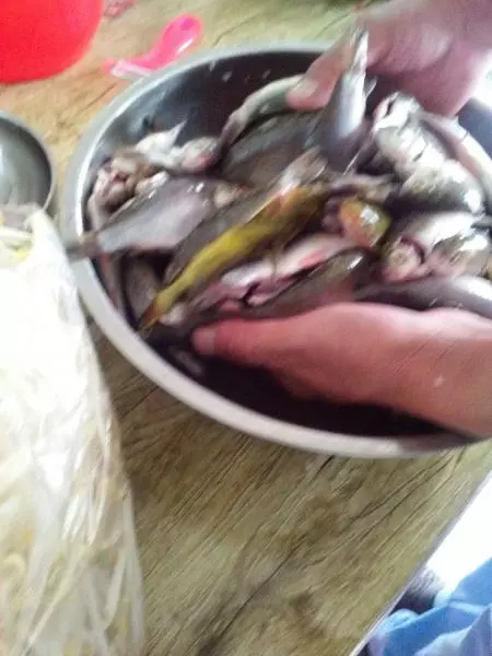 嫩江魚