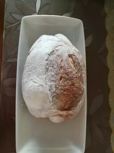冰箱低温发酵健康橄榄油软式法国面包