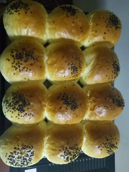 原味蘑菇麵包(一次發酵)