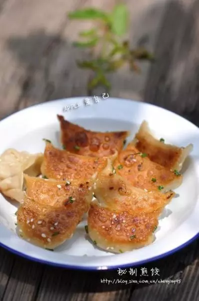 喷香猪肉豆腐煎饺