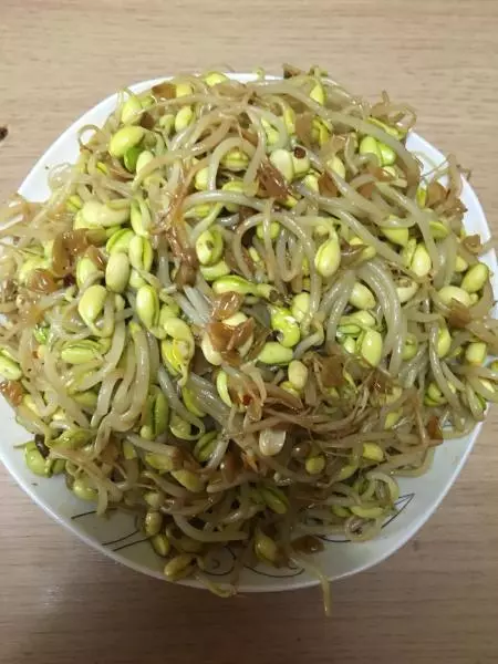 老乾媽炒豆芽