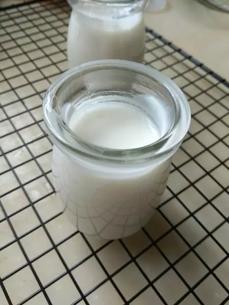 自製老酸奶