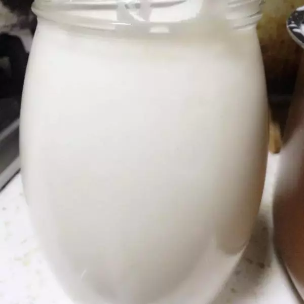 自制无糖纯酸奶