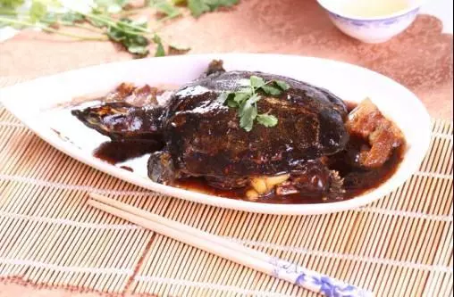 林志鵬自動烹飪鍋烹制紅燜甲魚-捷賽私房菜