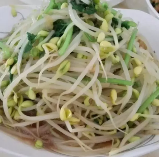 自發豆芽韭菜