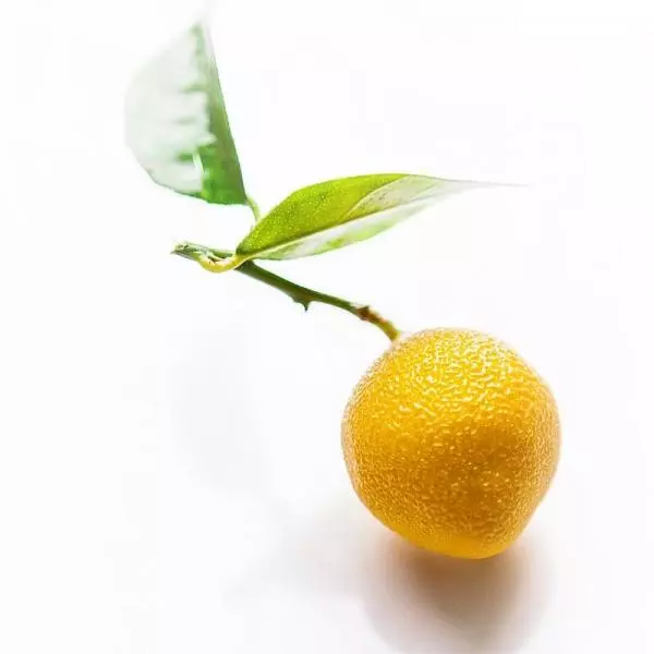 cedric的一颗柠檬