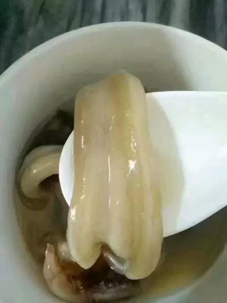 花膠滋補靚湯