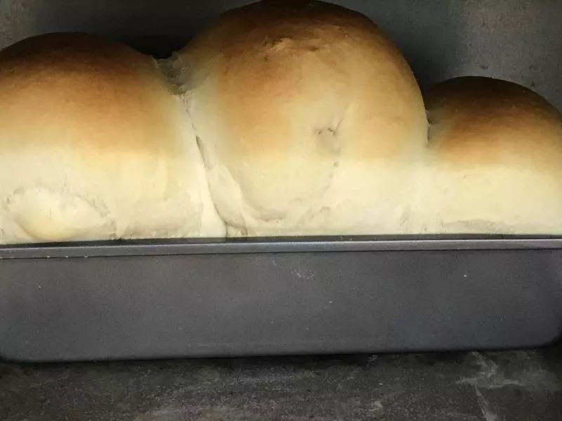 Bread