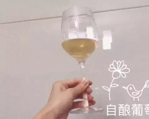 自酿葡萄酒（含白葡萄酒做法）